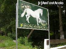 [P18] Panoul de la intrarea in herghelie » foto by Paty
 - 
<span class="allrVoted glyphicon glyphicon-heart hidden" id="av158005"></span>
<a class="m-l-10 hidden" id="sv158005" onclick="voting_Foto_DelVot(,158005,15708)" role="button">șterge vot <span class="glyphicon glyphicon-remove"></span></a>
<a id="v9158005" class=" c-red"  onclick="voting_Foto_SetVot(158005)" role="button"><span class="glyphicon glyphicon-heart-empty"></span> <b>LIKE</b> = Votează poza</a> <img class="hidden"  id="f158005W9" src="/imagini/loader.gif" border="0" /><span class="AjErrMes hidden" id="e158005ErM"></span>