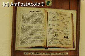 [P27] muzeul de la Herghelia Sambata de Jos » foto by Dana2008
 - 
<span class="allrVoted glyphicon glyphicon-heart hidden" id="av759621"></span>
<a class="m-l-10 hidden" id="sv759621" onclick="voting_Foto_DelVot(,759621,15708)" role="button">șterge vot <span class="glyphicon glyphicon-remove"></span></a>
<a id="v9759621" class=" c-red"  onclick="voting_Foto_SetVot(759621)" role="button"><span class="glyphicon glyphicon-heart-empty"></span> <b>LIKE</b> = Votează poza</a> <img class="hidden"  id="f759621W9" src="/imagini/loader.gif" border="0" /><span class="AjErrMes hidden" id="e759621ErM"></span>