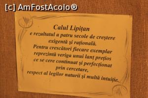 [P36] citate de la muzeul de la Herghelia Sambata de Jos » foto by Dana2008
 - 
<span class="allrVoted glyphicon glyphicon-heart hidden" id="av759631"></span>
<a class="m-l-10 hidden" id="sv759631" onclick="voting_Foto_DelVot(,759631,15708)" role="button">șterge vot <span class="glyphicon glyphicon-remove"></span></a>
<a id="v9759631" class=" c-red"  onclick="voting_Foto_SetVot(759631)" role="button"><span class="glyphicon glyphicon-heart-empty"></span> <b>LIKE</b> = Votează poza</a> <img class="hidden"  id="f759631W9" src="/imagini/loader.gif" border="0" /><span class="AjErrMes hidden" id="e759631ErM"></span>