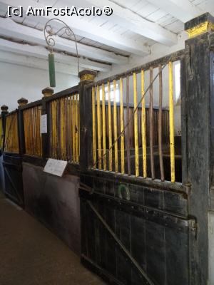 [P14] Boxe mai largi pentru armăsarii de elită. » foto by tata123 🔱
 - 
<span class="allrVoted glyphicon glyphicon-heart hidden" id="av1251084"></span>
<a class="m-l-10 hidden" id="sv1251084" onclick="voting_Foto_DelVot(,1251084,15708)" role="button">șterge vot <span class="glyphicon glyphicon-remove"></span></a>
<a id="v91251084" class=" c-red"  onclick="voting_Foto_SetVot(1251084)" role="button"><span class="glyphicon glyphicon-heart-empty"></span> <b>LIKE</b> = Votează poza</a> <img class="hidden"  id="f1251084W9" src="/imagini/loader.gif" border="0" /><span class="AjErrMes hidden" id="e1251084ErM"></span>