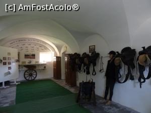 [P25] Expoziție - Herghelia Sâmbăta de Jos. » foto by tata123 🔱
 - 
<span class="allrVoted glyphicon glyphicon-heart hidden" id="av1251096"></span>
<a class="m-l-10 hidden" id="sv1251096" onclick="voting_Foto_DelVot(,1251096,15708)" role="button">șterge vot <span class="glyphicon glyphicon-remove"></span></a>
<a id="v91251096" class=" c-red"  onclick="voting_Foto_SetVot(1251096)" role="button"><span class="glyphicon glyphicon-heart-empty"></span> <b>LIKE</b> = Votează poza</a> <img class="hidden"  id="f1251096W9" src="/imagini/loader.gif" border="0" /><span class="AjErrMes hidden" id="e1251096ErM"></span>