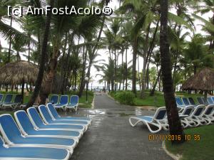 [P08] alee care duce la plaja. sint in dreptul piscinei.  » foto by adri-nico
 - 
<span class="allrVoted glyphicon glyphicon-heart hidden" id="av815766"></span>
<a class="m-l-10 hidden" id="sv815766" onclick="voting_Foto_DelVot(,815766,15723)" role="button">șterge vot <span class="glyphicon glyphicon-remove"></span></a>
<a id="v9815766" class=" c-red"  onclick="voting_Foto_SetVot(815766)" role="button"><span class="glyphicon glyphicon-heart-empty"></span> <b>LIKE</b> = Votează poza</a> <img class="hidden"  id="f815766W9" src="/imagini/loader.gif" border="0" /><span class="AjErrMes hidden" id="e815766ErM"></span>