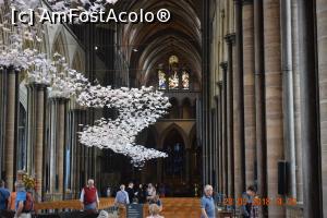 [P07] Aici se vad si mai bine.  » foto by Pușcașu Marin
 - 
<span class="allrVoted glyphicon glyphicon-heart hidden" id="av982374"></span>
<a class="m-l-10 hidden" id="sv982374" onclick="voting_Foto_DelVot(,982374,15751)" role="button">șterge vot <span class="glyphicon glyphicon-remove"></span></a>
<a id="v9982374" class=" c-red"  onclick="voting_Foto_SetVot(982374)" role="button"><span class="glyphicon glyphicon-heart-empty"></span> <b>LIKE</b> = Votează poza</a> <img class="hidden"  id="f982374W9" src="/imagini/loader.gif" border="0" /><span class="AjErrMes hidden" id="e982374ErM"></span>
