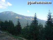[P09] peisaj de pe Transalpina » foto by danamandache
 - 
<span class="allrVoted glyphicon glyphicon-heart hidden" id="av484165"></span>
<a class="m-l-10 hidden" id="sv484165" onclick="voting_Foto_DelVot(,484165,15774)" role="button">șterge vot <span class="glyphicon glyphicon-remove"></span></a>
<a id="v9484165" class=" c-red"  onclick="voting_Foto_SetVot(484165)" role="button"><span class="glyphicon glyphicon-heart-empty"></span> <b>LIKE</b> = Votează poza</a> <img class="hidden"  id="f484165W9" src="/imagini/loader.gif" border="0" /><span class="AjErrMes hidden" id="e484165ErM"></span>