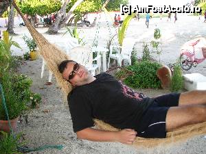[P17] Relaxare totala intr-un hamac facut din nuci de cocos.  » foto by expertu
 - 
<span class="allrVoted glyphicon glyphicon-heart hidden" id="av484411"></span>
<a class="m-l-10 hidden" id="sv484411" onclick="voting_Foto_DelVot(,484411,15789)" role="button">șterge vot <span class="glyphicon glyphicon-remove"></span></a>
<a id="v9484411" class=" c-red"  onclick="voting_Foto_SetVot(484411)" role="button"><span class="glyphicon glyphicon-heart-empty"></span> <b>LIKE</b> = Votează poza</a> <img class="hidden"  id="f484411W9" src="/imagini/loader.gif" border="0" /><span class="AjErrMes hidden" id="e484411ErM"></span>