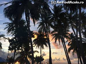 [P01] apus de soare în Maafushi » foto by robert
 - 
<span class="allrVoted glyphicon glyphicon-heart hidden" id="av672997"></span>
<a class="m-l-10 hidden" id="sv672997" onclick="voting_Foto_DelVot(,672997,15789)" role="button">șterge vot <span class="glyphicon glyphicon-remove"></span></a>
<a id="v9672997" class=" c-red"  onclick="voting_Foto_SetVot(672997)" role="button"><span class="glyphicon glyphicon-heart-empty"></span> <b>LIKE</b> = Votează poza</a> <img class="hidden"  id="f672997W9" src="/imagini/loader.gif" border="0" /><span class="AjErrMes hidden" id="e672997ErM"></span>