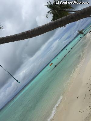 [P02] plaja bikini beach Maafushi » foto by robert
 - 
<span class="allrVoted glyphicon glyphicon-heart hidden" id="av672998"></span>
<a class="m-l-10 hidden" id="sv672998" onclick="voting_Foto_DelVot(,672998,15789)" role="button">șterge vot <span class="glyphicon glyphicon-remove"></span></a>
<a id="v9672998" class=" c-red"  onclick="voting_Foto_SetVot(672998)" role="button"><span class="glyphicon glyphicon-heart-empty"></span> <b>LIKE</b> = Votează poza</a> <img class="hidden"  id="f672998W9" src="/imagini/loader.gif" border="0" /><span class="AjErrMes hidden" id="e672998ErM"></span>