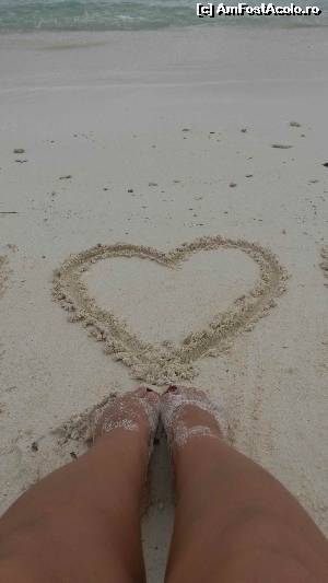 [P23]  -- <small>// FĂRĂ DESCRIERE</small> » foto by robert
 - 
<span class="allrVoted glyphicon glyphicon-heart hidden" id="av673019"></span>
<a class="m-l-10 hidden" id="sv673019" onclick="voting_Foto_DelVot(,673019,15789)" role="button">șterge vot <span class="glyphicon glyphicon-remove"></span></a>
<a id="v9673019" class=" c-red"  onclick="voting_Foto_SetVot(673019)" role="button"><span class="glyphicon glyphicon-heart-empty"></span> <b>LIKE</b> = Votează poza</a> <img class="hidden"  id="f673019W9" src="/imagini/loader.gif" border="0" /><span class="AjErrMes hidden" id="e673019ErM"></span>