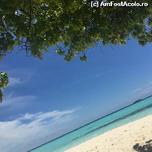 [P03] plaja bikini beach Maafushi » foto by robert
 - 
<span class="allrVoted glyphicon glyphicon-heart hidden" id="av672999"></span>
<a class="m-l-10 hidden" id="sv672999" onclick="voting_Foto_DelVot(,672999,15789)" role="button">șterge vot <span class="glyphicon glyphicon-remove"></span></a>
<a id="v9672999" class=" c-red"  onclick="voting_Foto_SetVot(672999)" role="button"><span class="glyphicon glyphicon-heart-empty"></span> <b>LIKE</b> = Votează poza</a> <img class="hidden"  id="f672999W9" src="/imagini/loader.gif" border="0" /><span class="AjErrMes hidden" id="e672999ErM"></span>