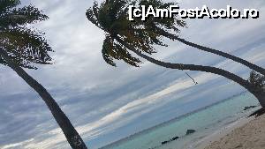 [P18] Bikini Beach Maafushi » foto by robert
 - 
<span class="allrVoted glyphicon glyphicon-heart hidden" id="av679595"></span>
<a class="m-l-10 hidden" id="sv679595" onclick="voting_Foto_DelVot(,679595,15789)" role="button">șterge vot <span class="glyphicon glyphicon-remove"></span></a>
<a id="v9679595" class=" c-red"  onclick="voting_Foto_SetVot(679595)" role="button"><span class="glyphicon glyphicon-heart-empty"></span> <b>LIKE</b> = Votează poza</a> <img class="hidden"  id="f679595W9" src="/imagini/loader.gif" border="0" /><span class="AjErrMes hidden" id="e679595ErM"></span>