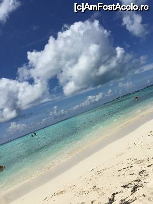 [P02] Bikini Beach Maafushi » foto by robert
 - 
<span class="allrVoted glyphicon glyphicon-heart hidden" id="av679579"></span>
<a class="m-l-10 hidden" id="sv679579" onclick="voting_Foto_DelVot(,679579,15789)" role="button">șterge vot <span class="glyphicon glyphicon-remove"></span></a>
<a id="v9679579" class=" c-red"  onclick="voting_Foto_SetVot(679579)" role="button"><span class="glyphicon glyphicon-heart-empty"></span> <b>LIKE</b> = Votează poza</a> <img class="hidden"  id="f679579W9" src="/imagini/loader.gif" border="0" /><span class="AjErrMes hidden" id="e679579ErM"></span>