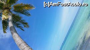[P21] Bikini Beach Maafushi » foto by robert
 - 
<span class="allrVoted glyphicon glyphicon-heart hidden" id="av679598"></span>
<a class="m-l-10 hidden" id="sv679598" onclick="voting_Foto_DelVot(,679598,15789)" role="button">șterge vot <span class="glyphicon glyphicon-remove"></span></a>
<a id="v9679598" class=" c-red"  onclick="voting_Foto_SetVot(679598)" role="button"><span class="glyphicon glyphicon-heart-empty"></span> <b>LIKE</b> = Votează poza</a> <img class="hidden"  id="f679598W9" src="/imagini/loader.gif" border="0" /><span class="AjErrMes hidden" id="e679598ErM"></span>
