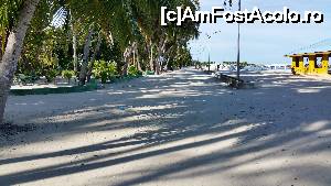 [P28] faleza din fața portului » foto by robert
 - 
<span class="allrVoted glyphicon glyphicon-heart hidden" id="av679624"></span>
<a class="m-l-10 hidden" id="sv679624" onclick="voting_Foto_DelVot(,679624,15789)" role="button">șterge vot <span class="glyphicon glyphicon-remove"></span></a>
<a id="v9679624" class=" c-red"  onclick="voting_Foto_SetVot(679624)" role="button"><span class="glyphicon glyphicon-heart-empty"></span> <b>LIKE</b> = Votează poza</a> <img class="hidden"  id="f679624W9" src="/imagini/loader.gif" border="0" /><span class="AjErrMes hidden" id="e679624ErM"></span>