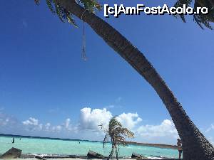 [P05] Bikini Beach Maafushi » foto by robert
 - 
<span class="allrVoted glyphicon glyphicon-heart hidden" id="av679582"></span>
<a class="m-l-10 hidden" id="sv679582" onclick="voting_Foto_DelVot(,679582,15789)" role="button">șterge vot <span class="glyphicon glyphicon-remove"></span></a>
<a id="v9679582" class=" c-red"  onclick="voting_Foto_SetVot(679582)" role="button"><span class="glyphicon glyphicon-heart-empty"></span> <b>LIKE</b> = Votează poza</a> <img class="hidden"  id="f679582W9" src="/imagini/loader.gif" border="0" /><span class="AjErrMes hidden" id="e679582ErM"></span>