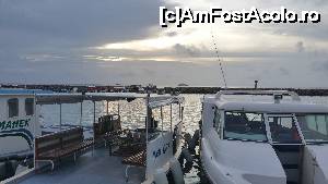 [P51] prin port » foto by robert
 - 
<span class="allrVoted glyphicon glyphicon-heart hidden" id="av679681"></span>
<a class="m-l-10 hidden" id="sv679681" onclick="voting_Foto_DelVot(,679681,15789)" role="button">șterge vot <span class="glyphicon glyphicon-remove"></span></a>
<a id="v9679681" class=" c-red"  onclick="voting_Foto_SetVot(679681)" role="button"><span class="glyphicon glyphicon-heart-empty"></span> <b>LIKE</b> = Votează poza</a> <img class="hidden"  id="f679681W9" src="/imagini/loader.gif" border="0" /><span class="AjErrMes hidden" id="e679681ErM"></span>