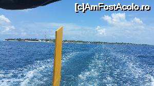 [P56] la revedere Maafushi » foto by robert
 - 
<span class="allrVoted glyphicon glyphicon-heart hidden" id="av679696"></span>
<a class="m-l-10 hidden" id="sv679696" onclick="voting_Foto_DelVot(,679696,15789)" role="button">șterge vot <span class="glyphicon glyphicon-remove"></span></a>
<a id="v9679696" class=" c-red"  onclick="voting_Foto_SetVot(679696)" role="button"><span class="glyphicon glyphicon-heart-empty"></span> <b>LIKE</b> = Votează poza</a> <img class="hidden"  id="f679696W9" src="/imagini/loader.gif" border="0" /><span class="AjErrMes hidden" id="e679696ErM"></span>