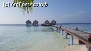 [P16] Adaaran Prestige Vadoo, bungalowrile de honeymoon!  » foto by caesar_ave
 - 
<span class="allrVoted glyphicon glyphicon-heart hidden" id="av830216"></span>
<a class="m-l-10 hidden" id="sv830216" onclick="voting_Foto_DelVot(,830216,15789)" role="button">șterge vot <span class="glyphicon glyphicon-remove"></span></a>
<a id="v9830216" class=" c-red"  onclick="voting_Foto_SetVot(830216)" role="button"><span class="glyphicon glyphicon-heart-empty"></span> <b>LIKE</b> = Votează poza</a> <img class="hidden"  id="f830216W9" src="/imagini/loader.gif" border="0" /><span class="AjErrMes hidden" id="e830216ErM"></span>