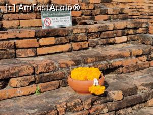 [P21] Wat Chai Watthanaram - ofrande » foto by crismis
 - 
<span class="allrVoted glyphicon glyphicon-heart hidden" id="av1359821"></span>
<a class="m-l-10 hidden" id="sv1359821" onclick="voting_Foto_DelVot(,1359821,15806)" role="button">șterge vot <span class="glyphicon glyphicon-remove"></span></a>
<a id="v91359821" class=" c-red"  onclick="voting_Foto_SetVot(1359821)" role="button"><span class="glyphicon glyphicon-heart-empty"></span> <b>LIKE</b> = Votează poza</a> <img class="hidden"  id="f1359821W9" src="/imagini/loader.gif" border="0" /><span class="AjErrMes hidden" id="e1359821ErM"></span>