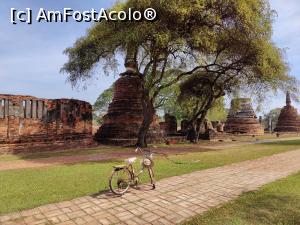 [P42] Wat Phra Si Sanphet » foto by crismis
 - 
<span class="allrVoted glyphicon glyphicon-heart hidden" id="av1359842"></span>
<a class="m-l-10 hidden" id="sv1359842" onclick="voting_Foto_DelVot(,1359842,15806)" role="button">șterge vot <span class="glyphicon glyphicon-remove"></span></a>
<a id="v91359842" class=" c-red"  onclick="voting_Foto_SetVot(1359842)" role="button"><span class="glyphicon glyphicon-heart-empty"></span> <b>LIKE</b> = Votează poza</a> <img class="hidden"  id="f1359842W9" src="/imagini/loader.gif" border="0" /><span class="AjErrMes hidden" id="e1359842ErM"></span>