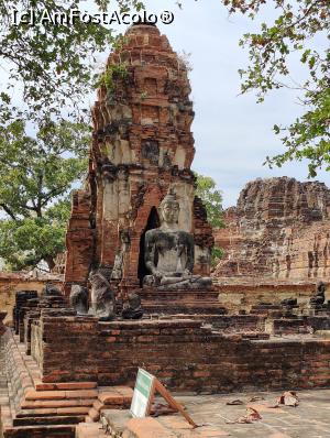 [P60] Wat Mahathat » foto by crismis
 - 
<span class="allrVoted glyphicon glyphicon-heart hidden" id="av1359860"></span>
<a class="m-l-10 hidden" id="sv1359860" onclick="voting_Foto_DelVot(,1359860,15806)" role="button">șterge vot <span class="glyphicon glyphicon-remove"></span></a>
<a id="v91359860" class=" c-red"  onclick="voting_Foto_SetVot(1359860)" role="button"><span class="glyphicon glyphicon-heart-empty"></span> <b>LIKE</b> = Votează poza</a> <img class="hidden"  id="f1359860W9" src="/imagini/loader.gif" border="0" /><span class="AjErrMes hidden" id="e1359860ErM"></span>