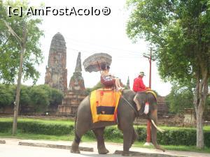 [P02] elefantii fac deliciul turistilor » foto by buterfly*
 - 
<span class="allrVoted glyphicon glyphicon-heart hidden" id="av949260"></span>
<a class="m-l-10 hidden" id="sv949260" onclick="voting_Foto_DelVot(,949260,15806)" role="button">șterge vot <span class="glyphicon glyphicon-remove"></span></a>
<a id="v9949260" class=" c-red"  onclick="voting_Foto_SetVot(949260)" role="button"><span class="glyphicon glyphicon-heart-empty"></span> <b>LIKE</b> = Votează poza</a> <img class="hidden"  id="f949260W9" src="/imagini/loader.gif" border="0" /><span class="AjErrMes hidden" id="e949260ErM"></span>