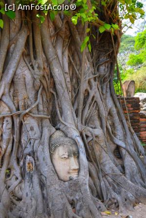 [P02] Wihan Phra Mongkhon Bophit » foto by Tesaria
 - 
<span class="allrVoted glyphicon glyphicon-heart hidden" id="av973074"></span>
<a class="m-l-10 hidden" id="sv973074" onclick="voting_Foto_DelVot(,973074,15806)" role="button">șterge vot <span class="glyphicon glyphicon-remove"></span></a>
<a id="v9973074" class=" c-red"  onclick="voting_Foto_SetVot(973074)" role="button"><span class="glyphicon glyphicon-heart-empty"></span> <b>LIKE</b> = Votează poza</a> <img class="hidden"  id="f973074W9" src="/imagini/loader.gif" border="0" /><span class="AjErrMes hidden" id="e973074ErM"></span>