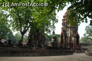 [P09] În apropiere de Buddha din arbore » foto by Tesaria
 - 
<span class="allrVoted glyphicon glyphicon-heart hidden" id="av973081"></span>
<a class="m-l-10 hidden" id="sv973081" onclick="voting_Foto_DelVot(,973081,15806)" role="button">șterge vot <span class="glyphicon glyphicon-remove"></span></a>
<a id="v9973081" class=" c-red"  onclick="voting_Foto_SetVot(973081)" role="button"><span class="glyphicon glyphicon-heart-empty"></span> <b>LIKE</b> = Votează poza</a> <img class="hidden"  id="f973081W9" src="/imagini/loader.gif" border="0" /><span class="AjErrMes hidden" id="e973081ErM"></span>