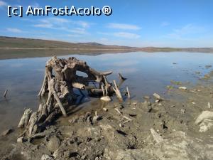 [P12] Natura, la ea acasă :)  » foto by Radix7
 - 
<span class="allrVoted glyphicon glyphicon-heart hidden" id="av1117852"></span>
<a class="m-l-10 hidden" id="sv1117852" onclick="voting_Foto_DelVot(,1117852,15833)" role="button">șterge vot <span class="glyphicon glyphicon-remove"></span></a>
<a id="v91117852" class=" c-red"  onclick="voting_Foto_SetVot(1117852)" role="button"><span class="glyphicon glyphicon-heart-empty"></span> <b>LIKE</b> = Votează poza</a> <img class="hidden"  id="f1117852W9" src="/imagini/loader.gif" border="0" /><span class="AjErrMes hidden" id="e1117852ErM"></span>