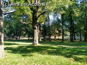 [P05] Parcul dendrologic.  » foto by Radix7
 - 
<span class="allrVoted glyphicon glyphicon-heart hidden" id="av1117845"></span>
<a class="m-l-10 hidden" id="sv1117845" onclick="voting_Foto_DelVot(,1117845,15833)" role="button">șterge vot <span class="glyphicon glyphicon-remove"></span></a>
<a id="v91117845" class=" c-red"  onclick="voting_Foto_SetVot(1117845)" role="button"><span class="glyphicon glyphicon-heart-empty"></span> <b>LIKE</b> = Votează poza</a> <img class="hidden"  id="f1117845W9" src="/imagini/loader.gif" border="0" /><span class="AjErrMes hidden" id="e1117845ErM"></span>