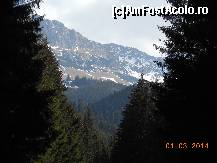 [P13] Întâlnirea AFA 2014 - Crestele înalte sunt încă înzăpezite la Moieciu.  » foto by iulianic
 - 
<span class="allrVoted glyphicon glyphicon-heart hidden" id="av499751"></span>
<a class="m-l-10 hidden" id="sv499751" onclick="voting_Foto_DelVot(,499751,15933)" role="button">șterge vot <span class="glyphicon glyphicon-remove"></span></a>
<a id="v9499751" class=" c-red"  onclick="voting_Foto_SetVot(499751)" role="button"><span class="glyphicon glyphicon-heart-empty"></span> <b>LIKE</b> = Votează poza</a> <img class="hidden"  id="f499751W9" src="/imagini/loader.gif" border="0" /><span class="AjErrMes hidden" id="e499751ErM"></span>