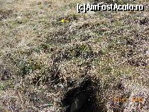 [P16] Întâlnirea AFA 2014 - Surâsul galben al primelor flori de podbal la Moieciu.  » foto by iulianic
 - 
<span class="allrVoted glyphicon glyphicon-heart hidden" id="av499754"></span>
<a class="m-l-10 hidden" id="sv499754" onclick="voting_Foto_DelVot(,499754,15933)" role="button">șterge vot <span class="glyphicon glyphicon-remove"></span></a>
<a id="v9499754" class=" c-red"  onclick="voting_Foto_SetVot(499754)" role="button"><span class="glyphicon glyphicon-heart-empty"></span> <b>LIKE</b> = Votează poza</a> <img class="hidden"  id="f499754W9" src="/imagini/loader.gif" border="0" /><span class="AjErrMes hidden" id="e499754ErM"></span>
