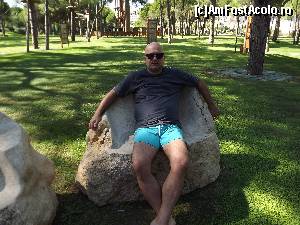 [P43] Padurea de pini » foto by zuzi_gina*
 - 
<span class="allrVoted glyphicon glyphicon-heart hidden" id="av683066"></span>
<a class="m-l-10 hidden" id="sv683066" onclick="voting_Foto_DelVot(,683066,15938)" role="button">șterge vot <span class="glyphicon glyphicon-remove"></span></a>
<a id="v9683066" class=" c-red"  onclick="voting_Foto_SetVot(683066)" role="button"><span class="glyphicon glyphicon-heart-empty"></span> <b>LIKE</b> = Votează poza</a> <img class="hidden"  id="f683066W9" src="/imagini/loader.gif" border="0" /><span class="AjErrMes hidden" id="e683066ErM"></span>