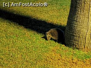 [P05]  -- <small>// FĂRĂ DESCRIERE</small> » foto by callmevaly
 - 
<span class="allrVoted glyphicon glyphicon-heart hidden" id="av1235363"></span>
<a class="m-l-10 hidden" id="sv1235363" onclick="voting_Foto_DelVot(,1235363,15940)" role="button">șterge vot <span class="glyphicon glyphicon-remove"></span></a>
<a id="v91235363" class=" c-red"  onclick="voting_Foto_SetVot(1235363)" role="button"><span class="glyphicon glyphicon-heart-empty"></span> <b>LIKE</b> = Votează poza</a> <img class="hidden"  id="f1235363W9" src="/imagini/loader.gif" border="0" /><span class="AjErrMes hidden" id="e1235363ErM"></span>