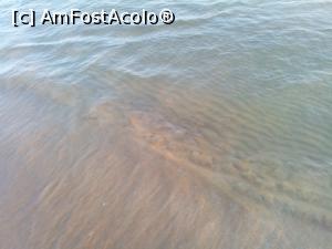 [P03] Apa Mediteranei.  » foto by Yoda
 - 
<span class="allrVoted glyphicon glyphicon-heart hidden" id="av1020487"></span>
<a class="m-l-10 hidden" id="sv1020487" onclick="voting_Foto_DelVot(,1020487,15945)" role="button">șterge vot <span class="glyphicon glyphicon-remove"></span></a>
<a id="v91020487" class=" c-red"  onclick="voting_Foto_SetVot(1020487)" role="button"><span class="glyphicon glyphicon-heart-empty"></span> <b>LIKE</b> = Votează poza</a> <img class="hidden"  id="f1020487W9" src="/imagini/loader.gif" border="0" /><span class="AjErrMes hidden" id="e1020487ErM"></span>