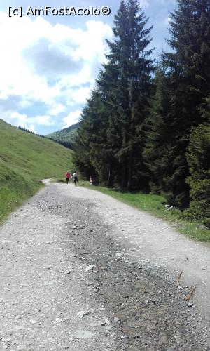 [P04] Moieciu de sus - drumetie pe firul apei ' Stancioiu', Rezervatia Naturala Bucegi.  » foto by MirelaV
 - 
<span class="allrVoted glyphicon glyphicon-heart hidden" id="av745913"></span>
<a class="m-l-10 hidden" id="sv745913" onclick="voting_Foto_DelVot(,745913,15966)" role="button">șterge vot <span class="glyphicon glyphicon-remove"></span></a>
<a id="v9745913" class=" c-red"  onclick="voting_Foto_SetVot(745913)" role="button"><span class="glyphicon glyphicon-heart-empty"></span> <b>LIKE</b> = Votează poza</a> <img class="hidden"  id="f745913W9" src="/imagini/loader.gif" border="0" /><span class="AjErrMes hidden" id="e745913ErM"></span>