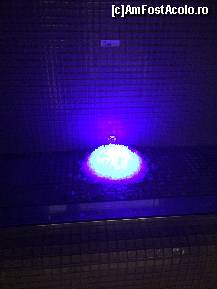 [P08]  -- <small>// FĂRĂ DESCRIERE</small> » foto by simionres
 - 
<span class="allrVoted glyphicon glyphicon-heart hidden" id="av491964"></span>
<a class="m-l-10 hidden" id="sv491964" onclick="voting_Foto_DelVot(,491964,15975)" role="button">șterge vot <span class="glyphicon glyphicon-remove"></span></a>
<a id="v9491964" class=" c-red"  onclick="voting_Foto_SetVot(491964)" role="button"><span class="glyphicon glyphicon-heart-empty"></span> <b>LIKE</b> = Votează poza</a> <img class="hidden"  id="f491964W9" src="/imagini/loader.gif" border="0" /><span class="AjErrMes hidden" id="e491964ErM"></span>