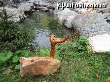 [P03] piscina naturala...  » foto by clau70
 - 
<span class="allrVoted glyphicon glyphicon-heart hidden" id="av492423"></span>
<a class="m-l-10 hidden" id="sv492423" onclick="voting_Foto_DelVot(,492423,15992)" role="button">șterge vot <span class="glyphicon glyphicon-remove"></span></a>
<a id="v9492423" class=" c-red"  onclick="voting_Foto_SetVot(492423)" role="button"><span class="glyphicon glyphicon-heart-empty"></span> <b>LIKE</b> = Votează poza</a> <img class="hidden"  id="f492423W9" src="/imagini/loader.gif" border="0" /><span class="AjErrMes hidden" id="e492423ErM"></span>