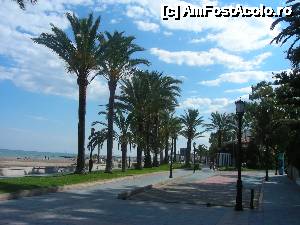 [P17] Pe dreapta erau aliniate vilute cochete si pensiuni si vedere la mare » foto by arru
 - 
<span class="allrVoted glyphicon glyphicon-heart hidden" id="av492873"></span>
<a class="m-l-10 hidden" id="sv492873" onclick="voting_Foto_DelVot(,492873,16005)" role="button">șterge vot <span class="glyphicon glyphicon-remove"></span></a>
<a id="v9492873" class=" c-red"  onclick="voting_Foto_SetVot(492873)" role="button"><span class="glyphicon glyphicon-heart-empty"></span> <b>LIKE</b> = Votează poza</a> <img class="hidden"  id="f492873W9" src="/imagini/loader.gif" border="0" /><span class="AjErrMes hidden" id="e492873ErM"></span>