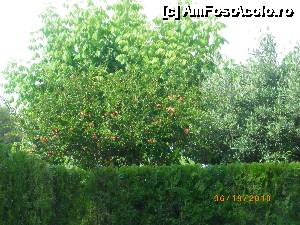[P30]  -- <small>// FĂRĂ DESCRIERE</small> » foto by arru
 - 
<span class="allrVoted glyphicon glyphicon-heart hidden" id="av492889"></span>
<a class="m-l-10 hidden" id="sv492889" onclick="voting_Foto_DelVot(,492889,16005)" role="button">șterge vot <span class="glyphicon glyphicon-remove"></span></a>
<a id="v9492889" class=" c-red"  onclick="voting_Foto_SetVot(492889)" role="button"><span class="glyphicon glyphicon-heart-empty"></span> <b>LIKE</b> = Votează poza</a> <img class="hidden"  id="f492889W9" src="/imagini/loader.gif" border="0" /><span class="AjErrMes hidden" id="e492889ErM"></span>