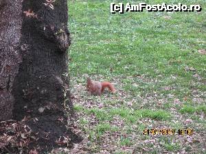 [P07] O domnisoara lesinata de foame dar gratioasa, in Vila Borghese » foto by Albinoium
 - 
<span class="allrVoted glyphicon glyphicon-heart hidden" id="av493319"></span>
<a class="m-l-10 hidden" id="sv493319" onclick="voting_Foto_DelVot(,493319,16010)" role="button">șterge vot <span class="glyphicon glyphicon-remove"></span></a>
<a id="v9493319" class=" c-red"  onclick="voting_Foto_SetVot(493319)" role="button"><span class="glyphicon glyphicon-heart-empty"></span> <b>LIKE</b> = Votează poza</a> <img class="hidden"  id="f493319W9" src="/imagini/loader.gif" border="0" /><span class="AjErrMes hidden" id="e493319ErM"></span>