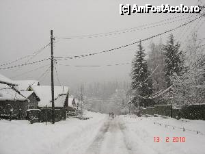 [P08]  -- <small>// FĂRĂ DESCRIERE</small> » foto by marian_buc
 - 
<span class="allrVoted glyphicon glyphicon-heart hidden" id="av495060"></span>
<a class="m-l-10 hidden" id="sv495060" onclick="voting_Foto_DelVot(,495060,16081)" role="button">șterge vot <span class="glyphicon glyphicon-remove"></span></a>
<a id="v9495060" class=" c-red"  onclick="voting_Foto_SetVot(495060)" role="button"><span class="glyphicon glyphicon-heart-empty"></span> <b>LIKE</b> = Votează poza</a> <img class="hidden"  id="f495060W9" src="/imagini/loader.gif" border="0" /><span class="AjErrMes hidden" id="e495060ErM"></span>