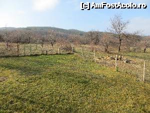 [P31] O alta priveliste minunata vazuta de pe balcon » foto by valyionsc
 - 
<span class="allrVoted glyphicon glyphicon-heart hidden" id="av496392"></span>
<a class="m-l-10 hidden" id="sv496392" onclick="voting_Foto_DelVot(,496392,16113)" role="button">șterge vot <span class="glyphicon glyphicon-remove"></span></a>
<a id="v9496392" class=" c-red"  onclick="voting_Foto_SetVot(496392)" role="button"><span class="glyphicon glyphicon-heart-empty"></span> <b>LIKE</b> = Votează poza</a> <img class="hidden"  id="f496392W9" src="/imagini/loader.gif" border="0" /><span class="AjErrMes hidden" id="e496392ErM"></span>