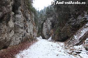 [P03] Parcul National Piatra Craiului - la 3 km distanta de Pensiunea Doi Crai » foto by dany89vl
 - 
<span class="allrVoted glyphicon glyphicon-heart hidden" id="av496999"></span>
<a class="m-l-10 hidden" id="sv496999" onclick="voting_Foto_DelVot(,496999,16128)" role="button">șterge vot <span class="glyphicon glyphicon-remove"></span></a>
<a id="v9496999" class=" c-red"  onclick="voting_Foto_SetVot(496999)" role="button"><span class="glyphicon glyphicon-heart-empty"></span> <b>LIKE</b> = Votează poza</a> <img class="hidden"  id="f496999W9" src="/imagini/loader.gif" border="0" /><span class="AjErrMes hidden" id="e496999ErM"></span>