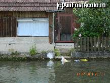 [P07] 'frigider' local din slunj -apa rece ca gheata pusa la treaba » foto by andreea72
 - 
<span class="allrVoted glyphicon glyphicon-heart hidden" id="av498562"></span>
<a class="m-l-10 hidden" id="sv498562" onclick="voting_Foto_DelVot(,498562,16153)" role="button">șterge vot <span class="glyphicon glyphicon-remove"></span></a>
<a id="v9498562" class=" c-red"  onclick="voting_Foto_SetVot(498562)" role="button"><span class="glyphicon glyphicon-heart-empty"></span> <b>LIKE</b> = Votează poza</a> <img class="hidden"  id="f498562W9" src="/imagini/loader.gif" border="0" /><span class="AjErrMes hidden" id="e498562ErM"></span>