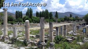 [P11] Agora de sud de la Aphrodisias » foto by irinad
 - 
<span class="allrVoted glyphicon glyphicon-heart hidden" id="av1026154"></span>
<a class="m-l-10 hidden" id="sv1026154" onclick="voting_Foto_DelVot(,1026154,16202)" role="button">șterge vot <span class="glyphicon glyphicon-remove"></span></a>
<a id="v91026154" class=" c-red"  onclick="voting_Foto_SetVot(1026154)" role="button"><span class="glyphicon glyphicon-heart-empty"></span> <b>LIKE</b> = Votează poza</a> <img class="hidden"  id="f1026154W9" src="/imagini/loader.gif" border="0" /><span class="AjErrMes hidden" id="e1026154ErM"></span>