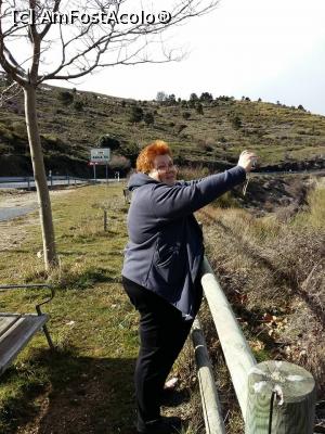 [P02] Incercam sa imortalizez San Lorenzo de El Escorial! De aici urcam in munti...  » foto by balasa violeta
 - 
<span class="allrVoted glyphicon glyphicon-heart hidden" id="av755325"></span>
<a class="m-l-10 hidden" id="sv755325" onclick="voting_Foto_DelVot(,755325,16214)" role="button">șterge vot <span class="glyphicon glyphicon-remove"></span></a>
<a id="v9755325" class=" c-red"  onclick="voting_Foto_SetVot(755325)" role="button"><span class="glyphicon glyphicon-heart-empty"></span> <b>LIKE</b> = Votează poza</a> <img class="hidden"  id="f755325W9" src="/imagini/loader.gif" border="0" /><span class="AjErrMes hidden" id="e755325ErM"></span>