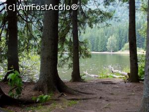 [P07] Lacul Sft. Ana.  » foto by Slider Zoltan
 - 
<span class="allrVoted glyphicon glyphicon-heart hidden" id="av780615"></span>
<a class="m-l-10 hidden" id="sv780615" onclick="voting_Foto_DelVot(,780615,16240)" role="button">șterge vot <span class="glyphicon glyphicon-remove"></span></a>
<a id="v9780615" class=" c-red"  onclick="voting_Foto_SetVot(780615)" role="button"><span class="glyphicon glyphicon-heart-empty"></span> <b>LIKE</b> = Votează poza</a> <img class="hidden"  id="f780615W9" src="/imagini/loader.gif" border="0" /><span class="AjErrMes hidden" id="e780615ErM"></span>