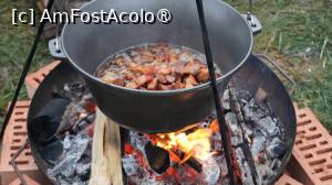 [P39] Pomana porcului » foto by pepsi70ro
 - 
<span class="allrVoted glyphicon glyphicon-heart hidden" id="av1513213"></span>
<a class="m-l-10 hidden" id="sv1513213" onclick="voting_Foto_DelVot(,1513213,16293)" role="button">șterge vot <span class="glyphicon glyphicon-remove"></span></a>
<a id="v91513213" class=" c-red"  onclick="voting_Foto_SetVot(1513213)" role="button"><span class="glyphicon glyphicon-heart-empty"></span> <b>LIKE</b> = Votează poza</a> <img class="hidden"  id="f1513213W9" src="/imagini/loader.gif" border="0" /><span class="AjErrMes hidden" id="e1513213ErM"></span>