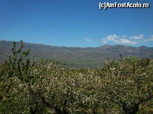 [P03] Ciresilor din partea dinspre Plasencia au inceput sa le cada florile...  » foto by alinaro
 - 
<span class="allrVoted glyphicon glyphicon-heart hidden" id="av504641"></span>
<a class="m-l-10 hidden" id="sv504641" onclick="voting_Foto_DelVot(,504641,16294)" role="button">șterge vot <span class="glyphicon glyphicon-remove"></span></a>
<a id="v9504641" class=" c-red"  onclick="voting_Foto_SetVot(504641)" role="button"><span class="glyphicon glyphicon-heart-empty"></span> <b>LIKE</b> = Votează poza</a> <img class="hidden"  id="f504641W9" src="/imagini/loader.gif" border="0" /><span class="AjErrMes hidden" id="e504641ErM"></span>