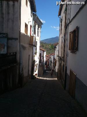 [P23]  -- <small>// FĂRĂ DESCRIERE</small> » foto by alinaro
 - 
<span class="allrVoted glyphicon glyphicon-heart hidden" id="av505935"></span>
<a class="m-l-10 hidden" id="sv505935" onclick="voting_Foto_DelVot(,505935,16294)" role="button">șterge vot <span class="glyphicon glyphicon-remove"></span></a>
<a id="v9505935" class=" c-red"  onclick="voting_Foto_SetVot(505935)" role="button"><span class="glyphicon glyphicon-heart-empty"></span> <b>LIKE</b> = Votează poza</a> <img class="hidden"  id="f505935W9" src="/imagini/loader.gif" border="0" /><span class="AjErrMes hidden" id="e505935ErM"></span>